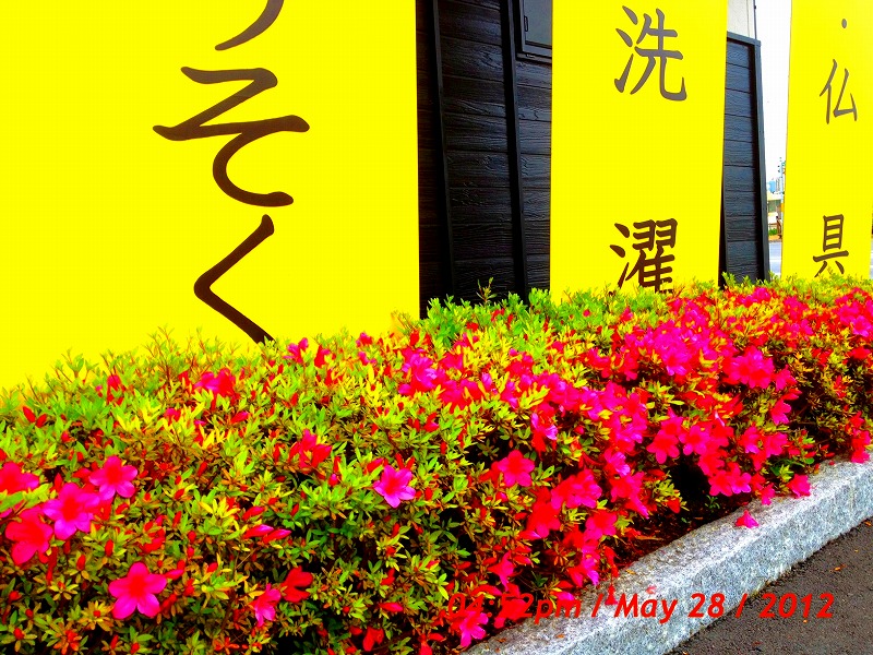 ファイル 102-1.jpg