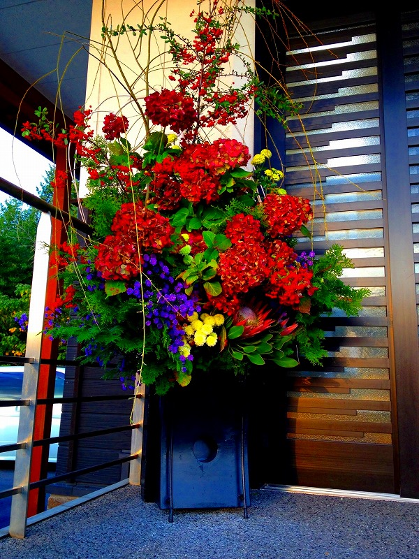 ファイル 125-1.jpg