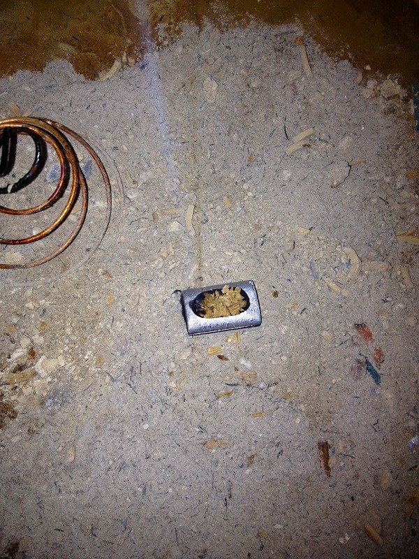 ファイル 131-2.jpg