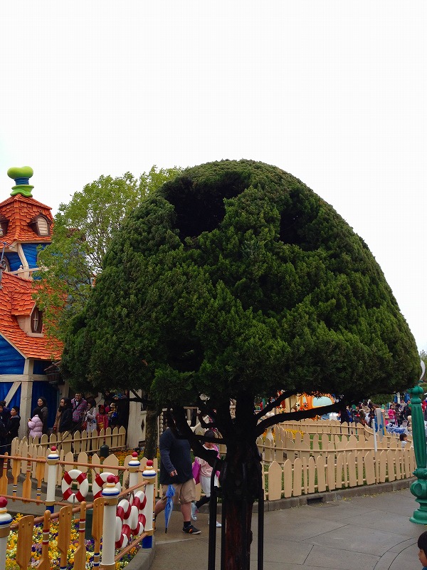 ファイル 148-1.jpg