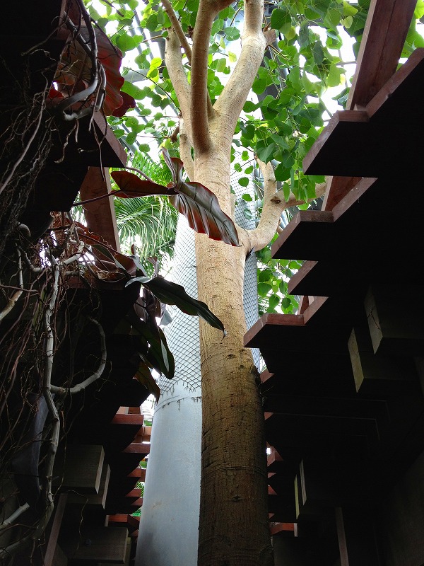 ファイル 152-1.jpg