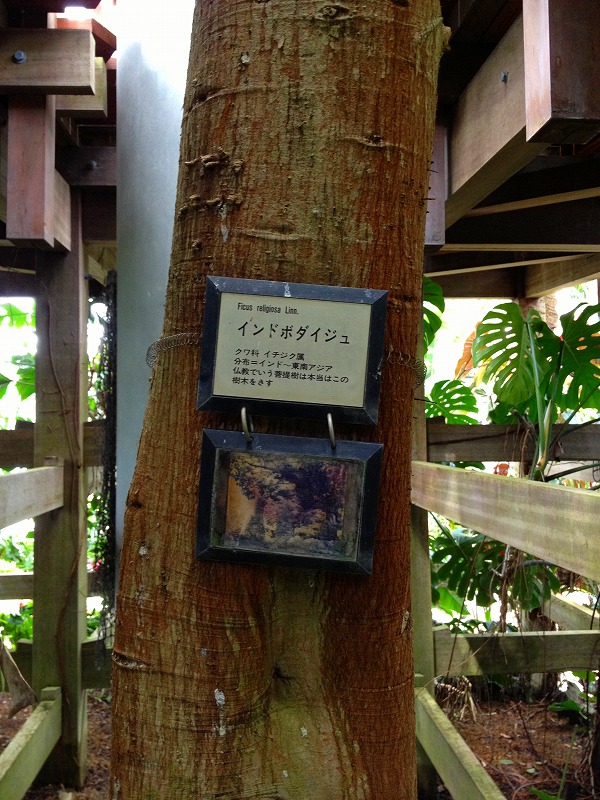 ファイル 152-2.jpg