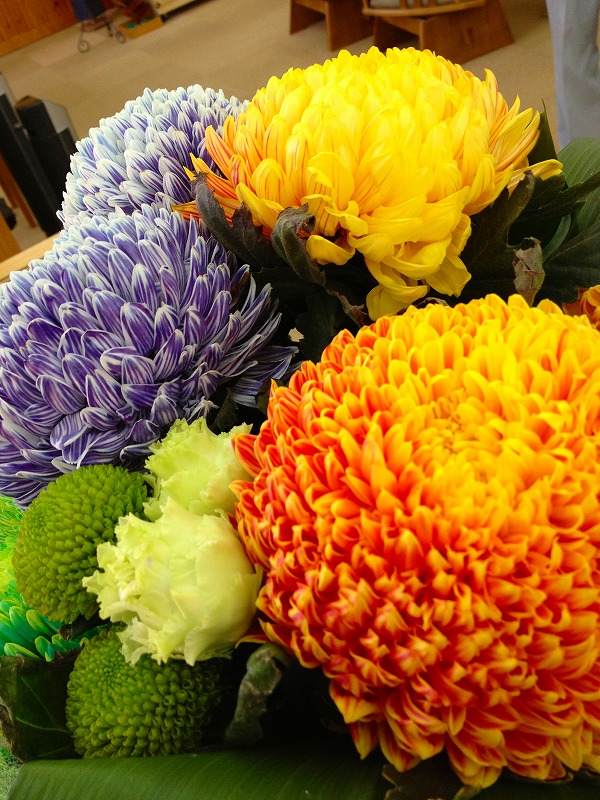 ファイル 162-1.jpg