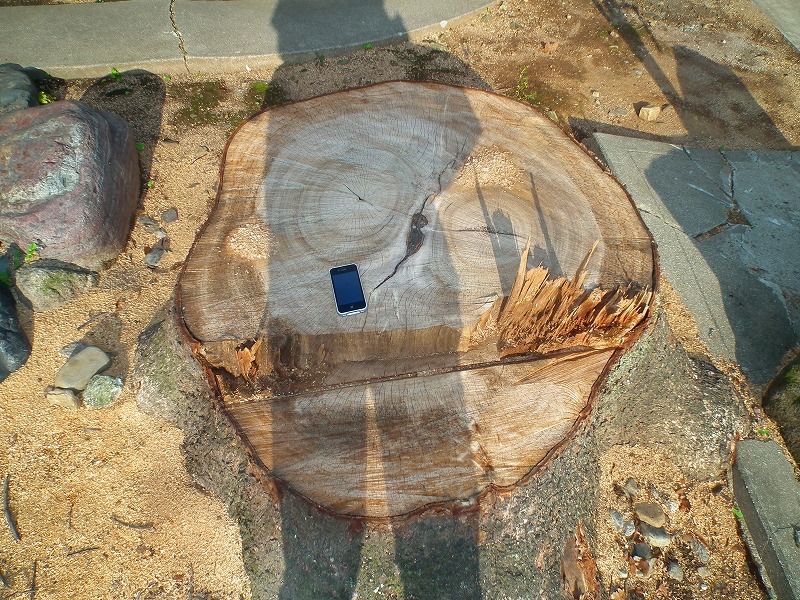 ファイル 165-1.jpg