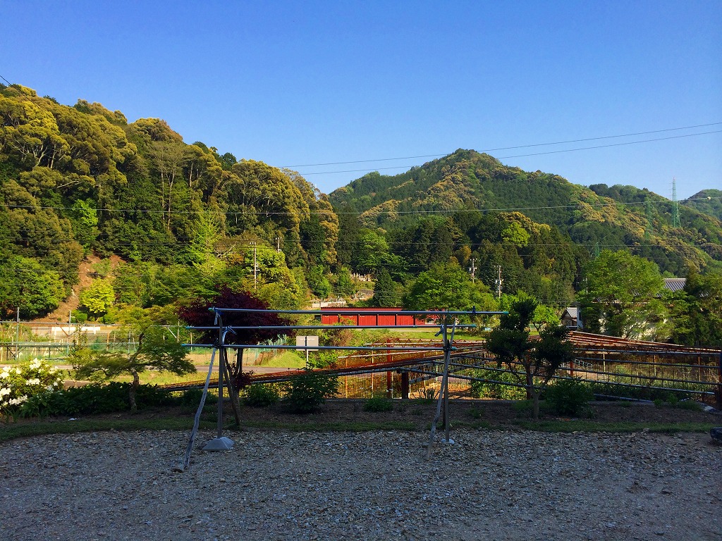 ファイル 194-1.jpg