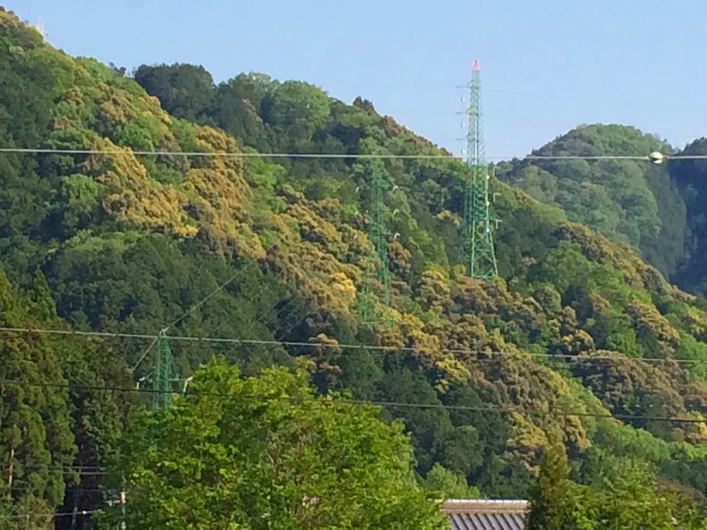 ファイル 194-2.jpg