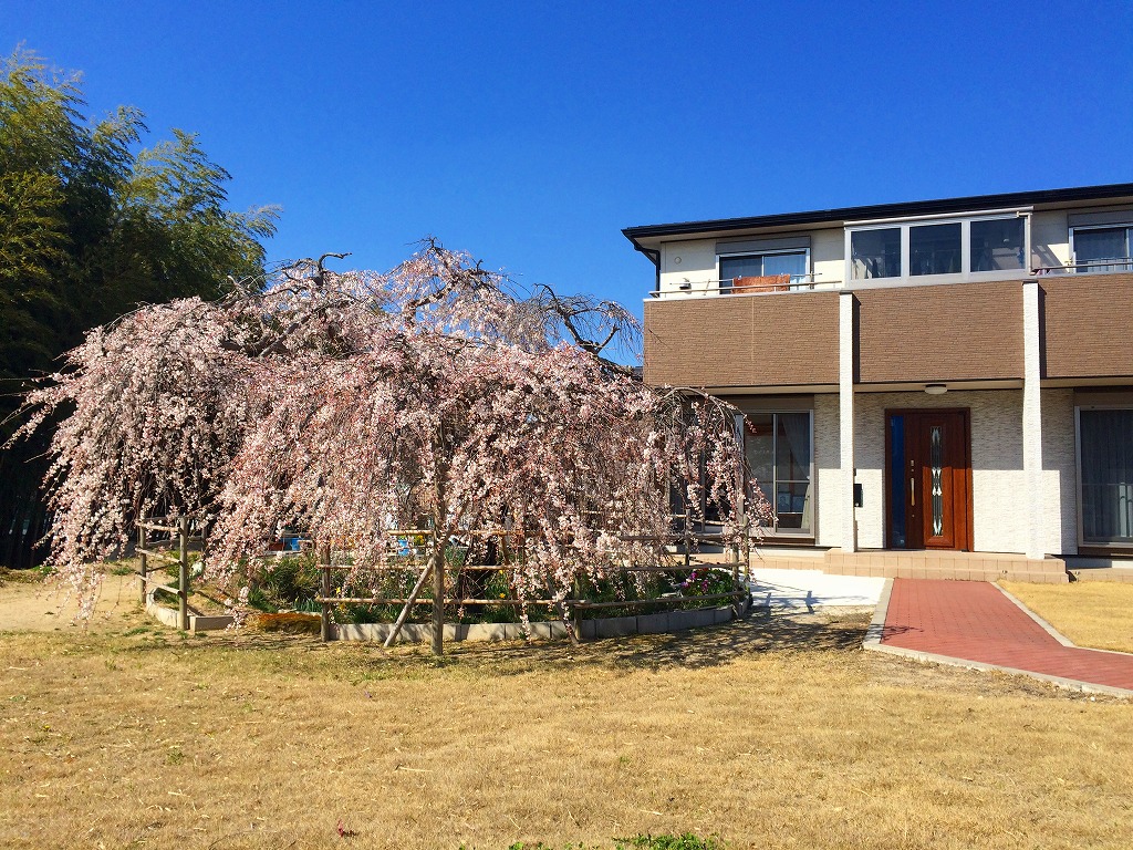 ファイル 228-1.jpg