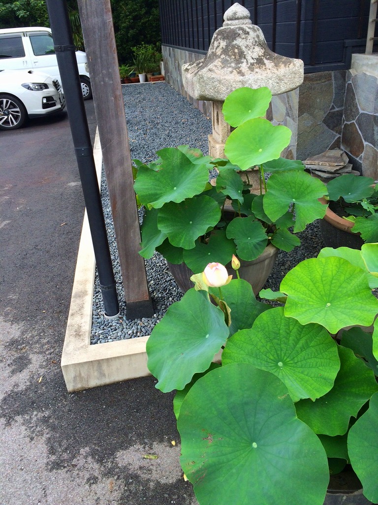 ファイル 234-2.jpg