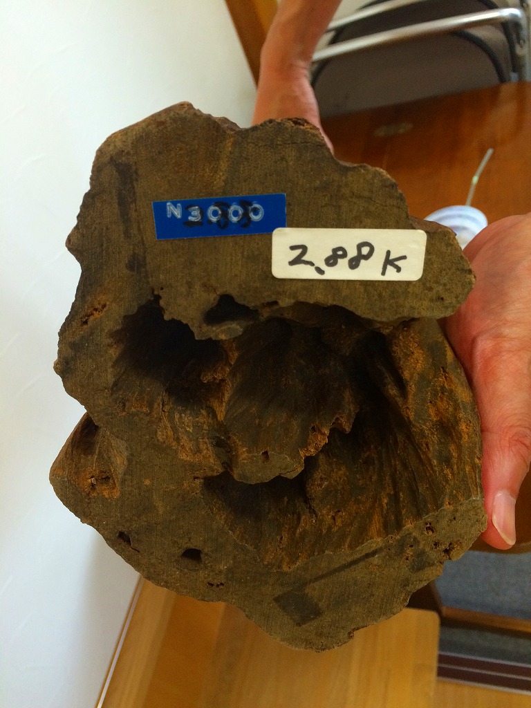 ファイル 240-3.jpg