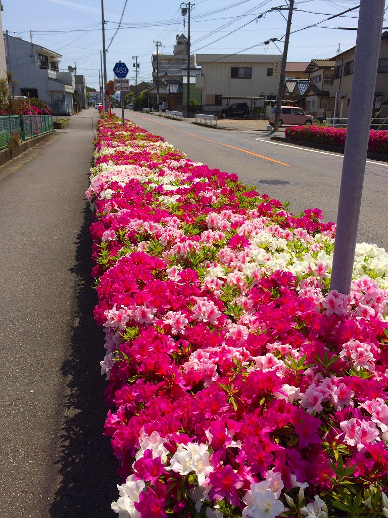 ファイル 258-1.jpg