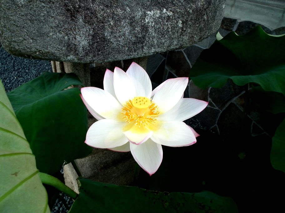 ファイル 37-2.jpg