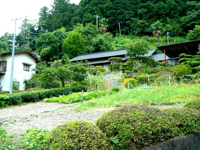 ファイル 41-1.jpg