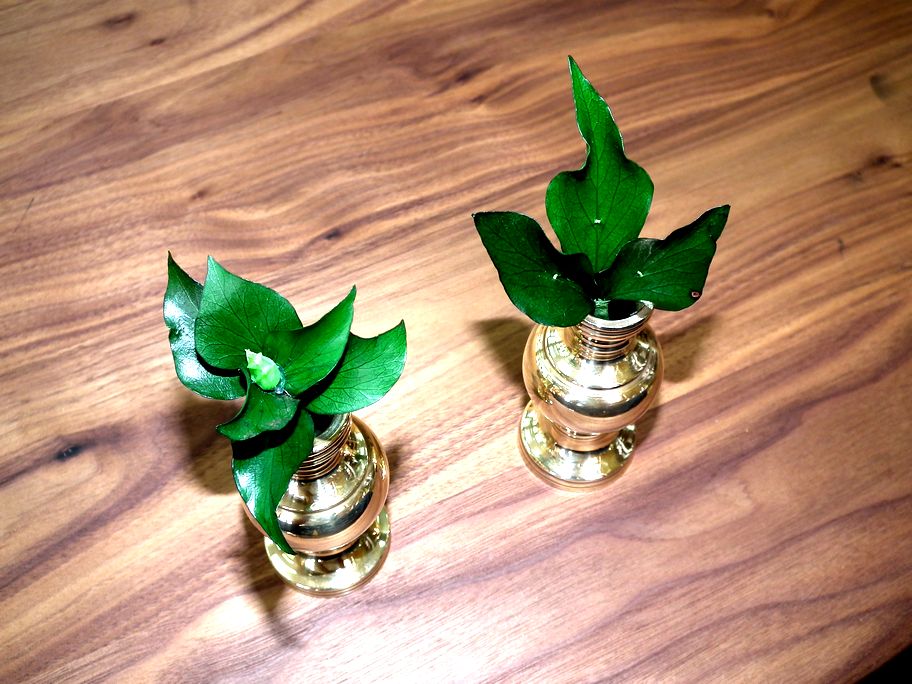 ファイル 47-1.jpg