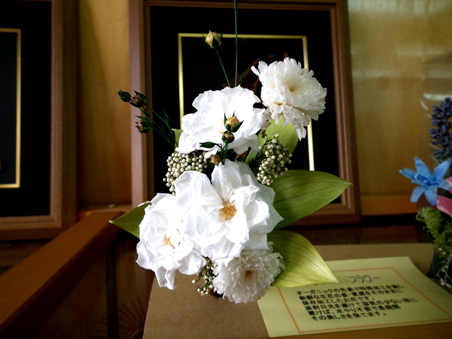 ファイル 49-1.jpg